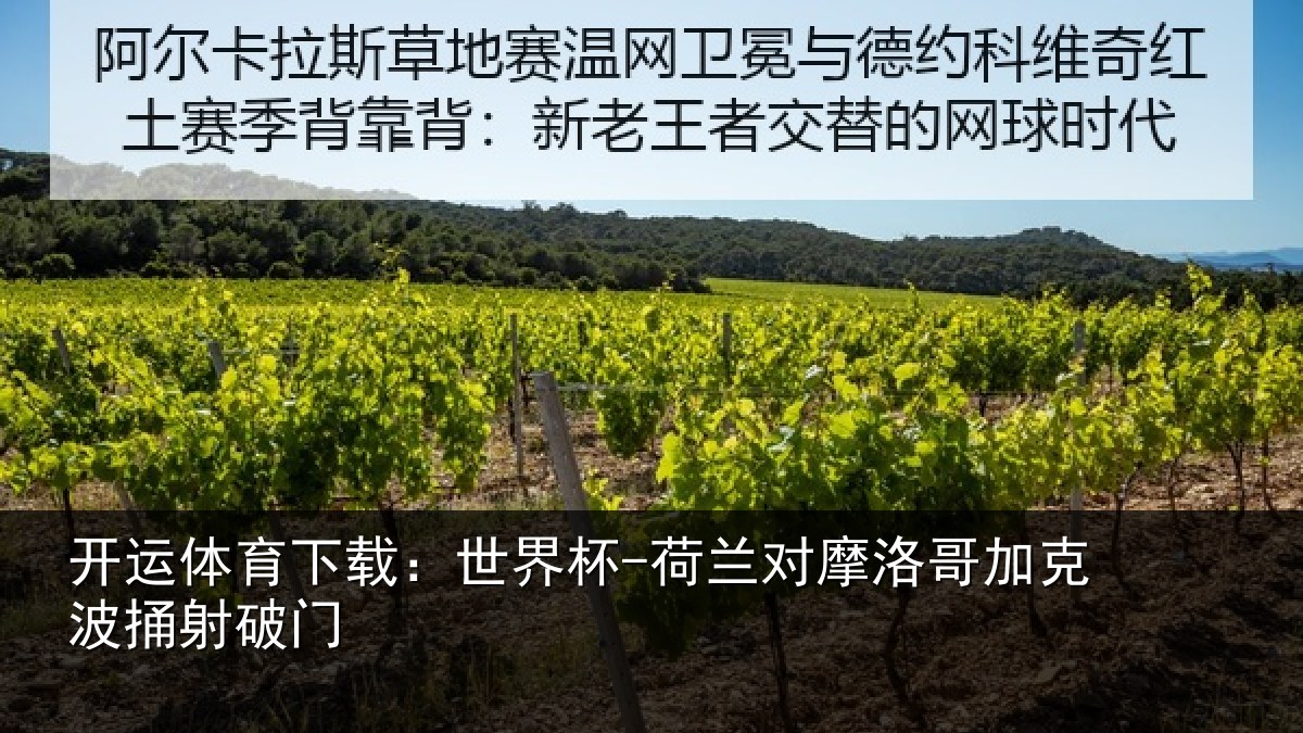 开运体育下载：世界杯-荷兰对摩洛哥加克波捅射破门
