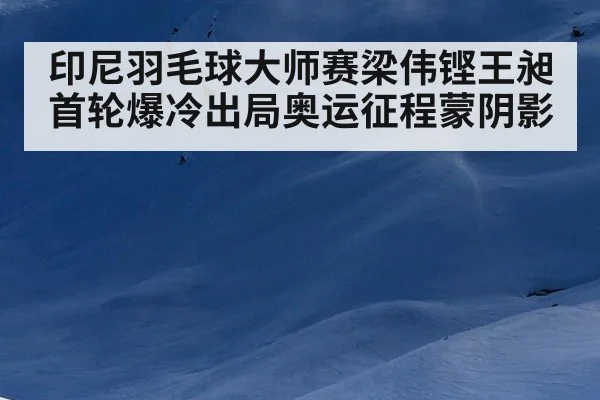 印尼羽毛球大师赛梁伟铿王昶首轮爆冷出局奥运征程蒙阴影